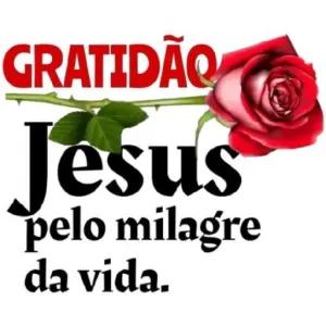 drGJfk