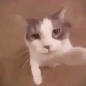 bsbGQa