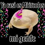 🐸Sapo Feliz Dia 🐸