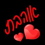 LOVE yoR היוצרים של ילי