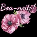minhas y