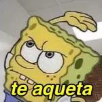 memes