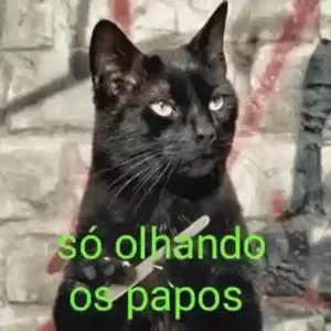 DU3H6s