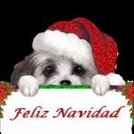 Navidad