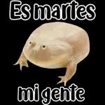 🐸Sapo Feliz Dia 🐸