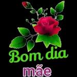 feliz das mães 
