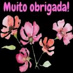  Muito obrigada!