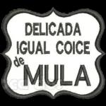 SINTO CHEIRO DE MENTIRA 