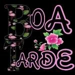 BOA TARDE