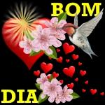 Bom Dia