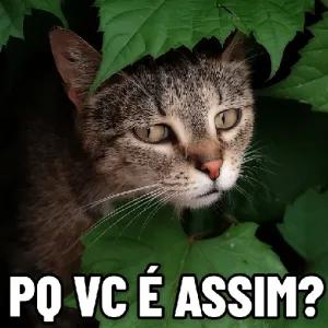 QprfXu
