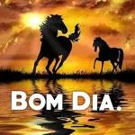 Flamengo 