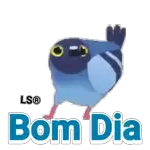 FELIZ ANO NOVO