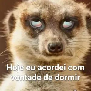 UQYd9H