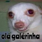 Bom dia!
Quando Deus
permite que um
desafio surja
em sua vida,
Ele está
dizendo que
você tem a
força.