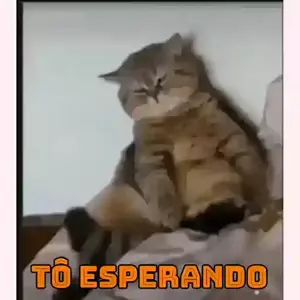 wVb3qy