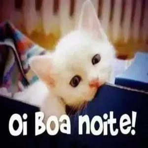 Oi Boa noite!  - getsticker.com