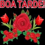 agna Souza 