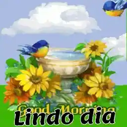 Feliz Segunda-feira!