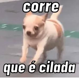 DxRhxG
