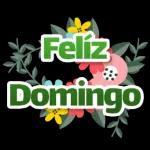 Bom Dia