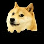 Vou fingir que não li🐶