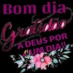 Boa Tarde TOP STICKER