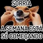 acorda