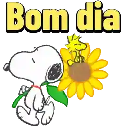 FELIZ ANO NOVO