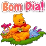 Boa noite🌸