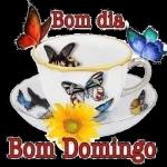 bom dia, boa tarde