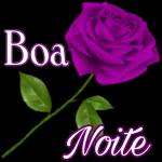 Boa 25 Noite