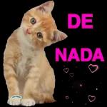 ACALMA seu coração DEUS está com você