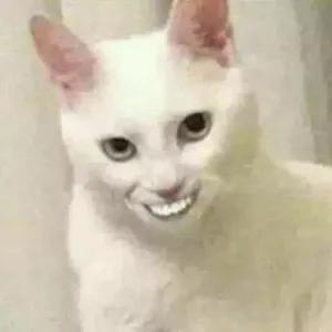 KFnNlE