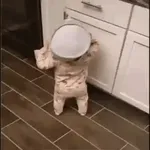 ...