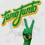 copa do mundo 🇧🇷 