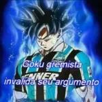 Goku gremista invalida seu argumento