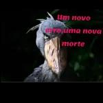 Um novo erro, uma nova morte