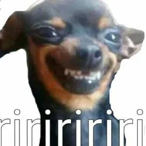 ILNN6N