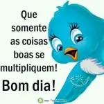 Feliz Domingo