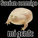 🐸Sapo Feliz Dia 🐸