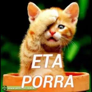 ETA PORRA - getsticker.com
