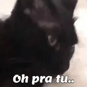 nqltzI
