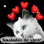 mais fig