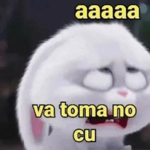 VdUrBt