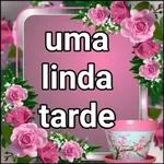 Apowersoft BOM DIA 
