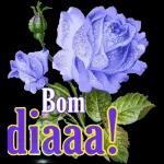 Boa noite 💋