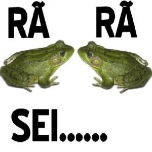 RÄ RÄ SEI...... - getsticker.com