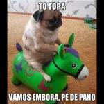 Boa
Que a
sua tarde
seja leve,
abençoada,
iluminada
e feliz.
Tarde