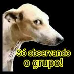  estou de olho
em tºc
